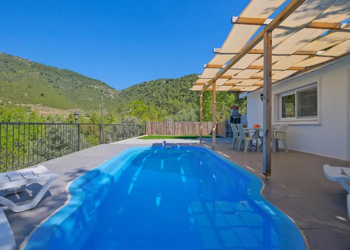 Hill Stone Villa *